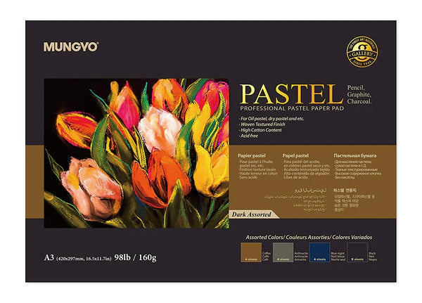 Mungyo Professional Pastel Paper Pad Dark Assorted
